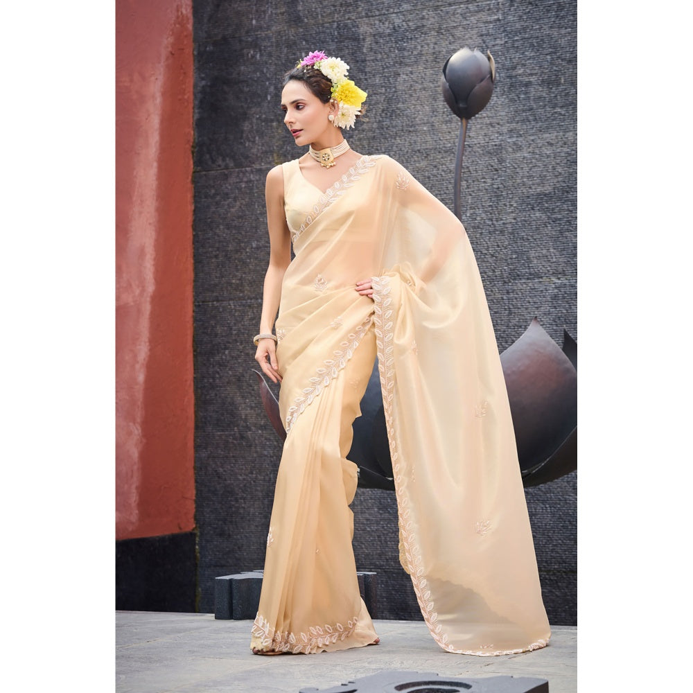 Aparnaa Beige Pearl Leaf Border Hand Embroidered Tissue Saree with Unstitched Blouse