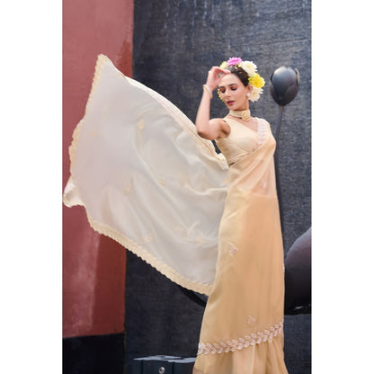 Aparnaa Beige Pearl Leaf Border Hand Embroidered Tissue Saree with Unstitched Blouse