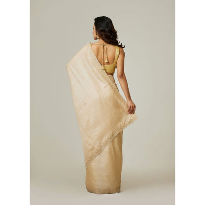 Aparnaa Beige Tussar Pearl And Dabka Hand Embroidery Saree with Unstitched Blouse