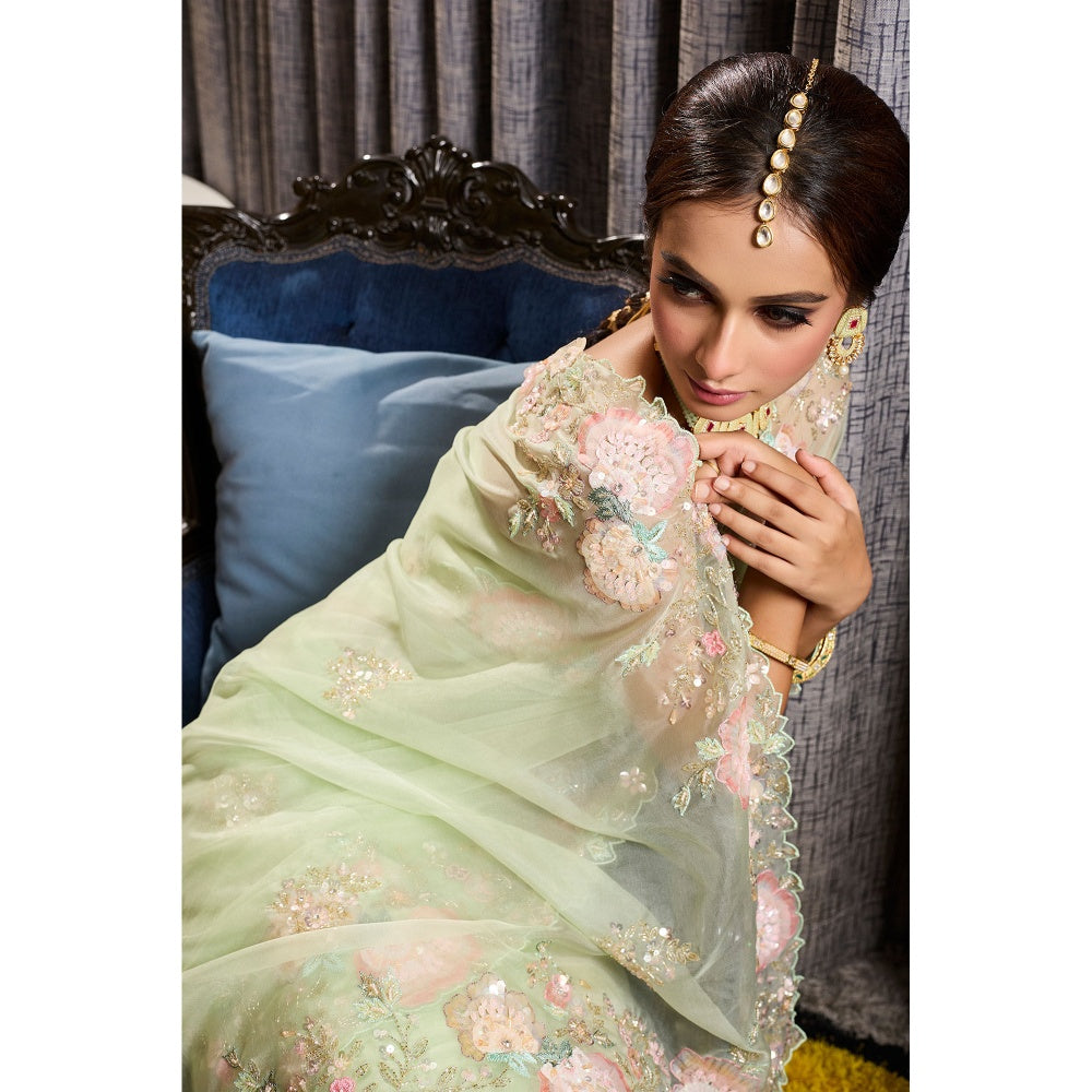 Aparnaa Green Patchwork Organza Hand Embroidered Sequins Saree with Unstitched Blouse