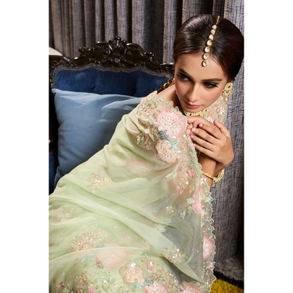 Aparnaa Green Patchwork Organza Hand Embroidered Sequins Saree with Unstitched Blouse