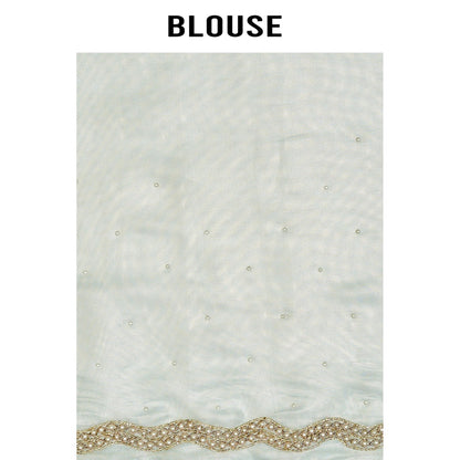Aparnaa Blue Organza Tissue Pearl And Dabka Embroidered Border Saree with Unstitched Blouse