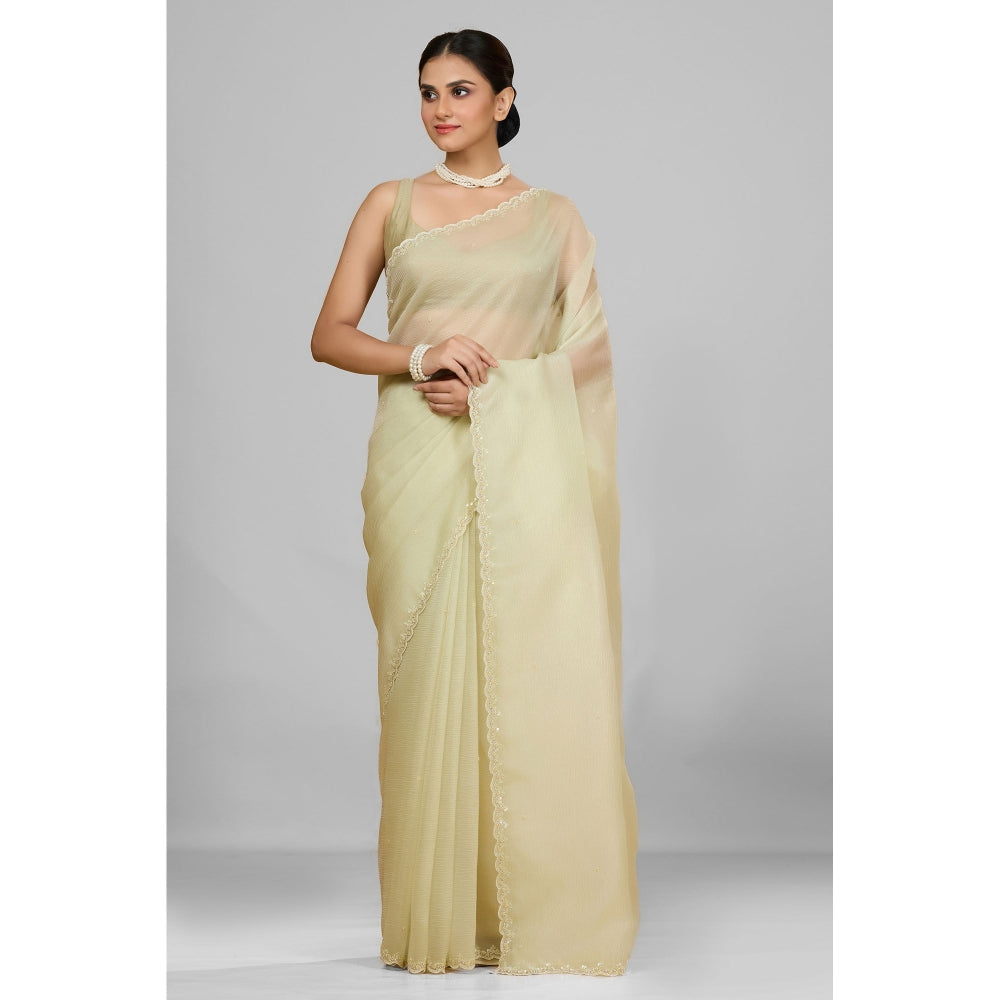 Aparnaa Elegant Foil Crush Handwork Soft Green Saree and Unstitched Blouse
