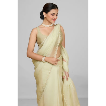 Aparnaa Elegant Foil Crush Handwork Soft Green Saree and Unstitched Blouse