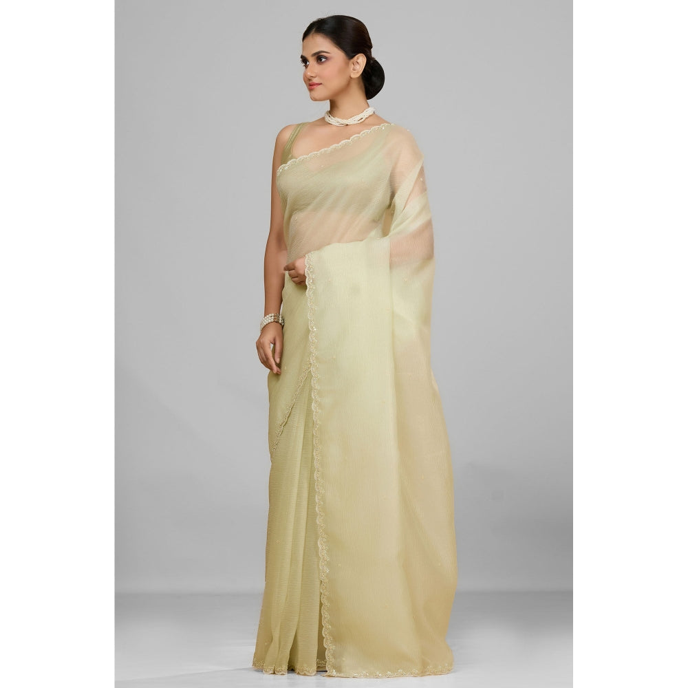 Aparnaa Elegant Foil Crush Handwork Soft Green Saree and Unstitched Blouse