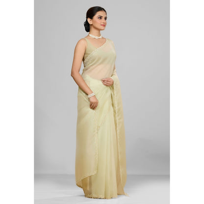 Aparnaa Elegant Foil Crush Handwork Soft Green Saree and Unstitched Blouse