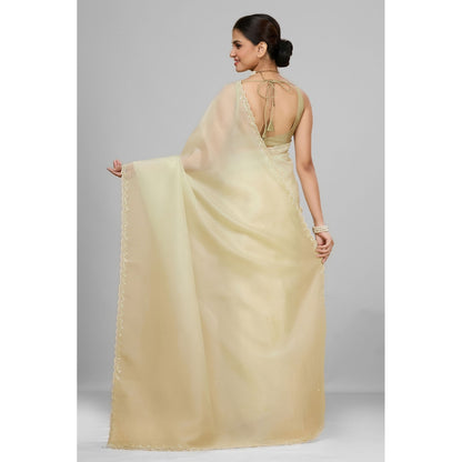 Aparnaa Elegant Foil Crush Handwork Soft Green Saree and Unstitched Blouse