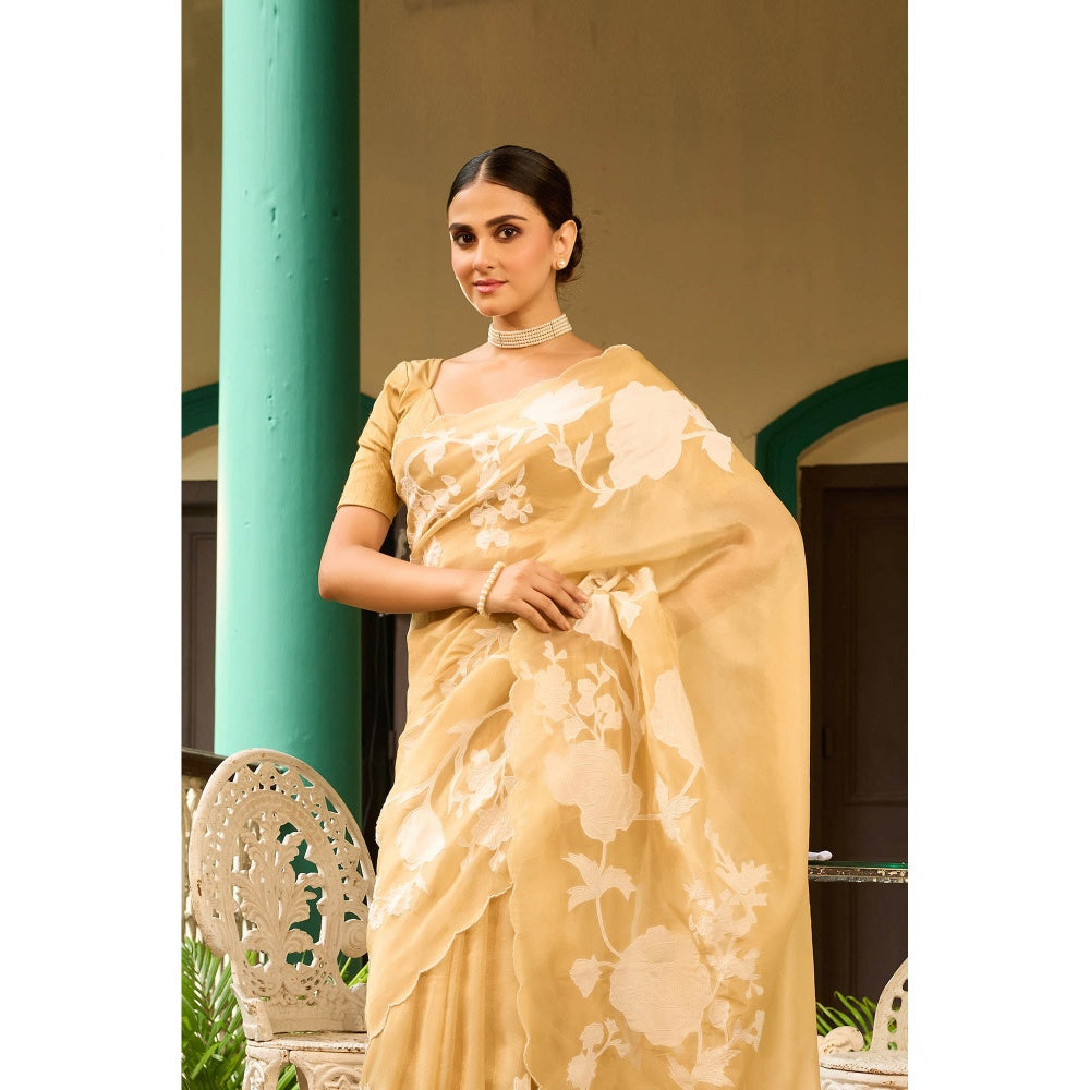 Aparnaa Elegant Beige Tissue Saree with Unstitched Blouse