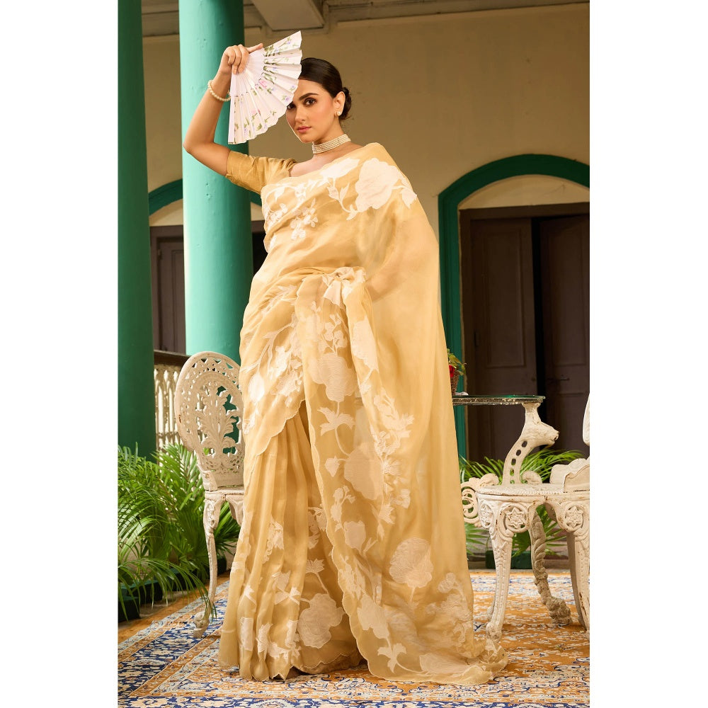 Aparnaa Elegant Beige Tissue Saree with Unstitched Blouse