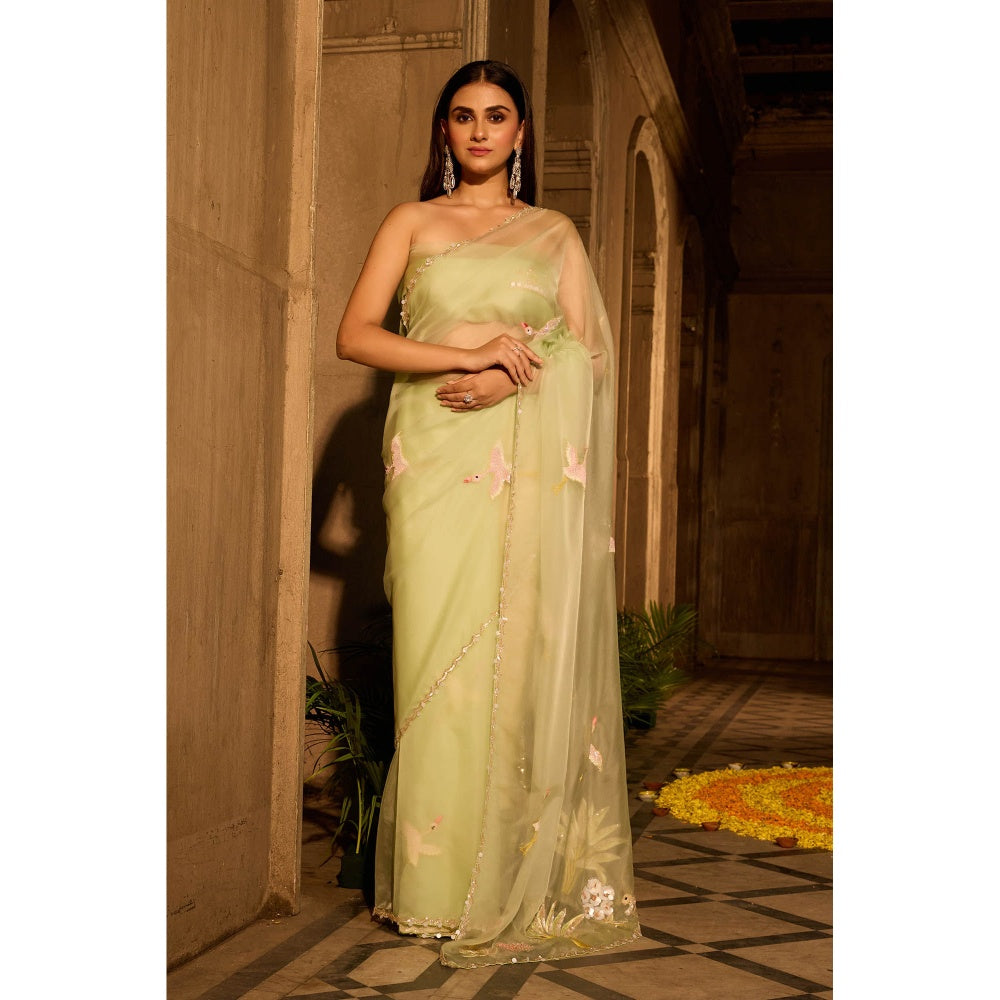 Aparnaa Pastel Green Organza Saree with Unstitched Blouse