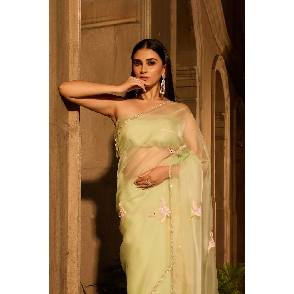 Aparnaa Pastel Green Organza Saree with Unstitched Blouse