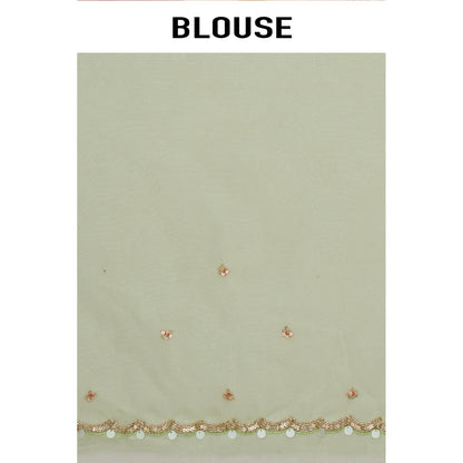 Aparnaa Pastel Green Organza Saree with Unstitched Blouse