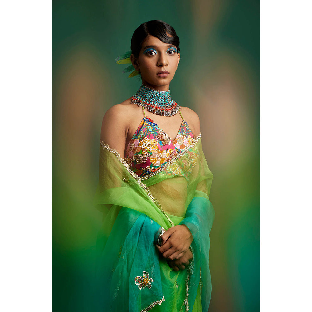 Apeksha Jain Label Green Ombre Embellished Saree with Stitched Blouse