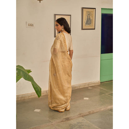 Apeksha Jain Label Gold Gulzar Woven Saree with Stitched Blouse