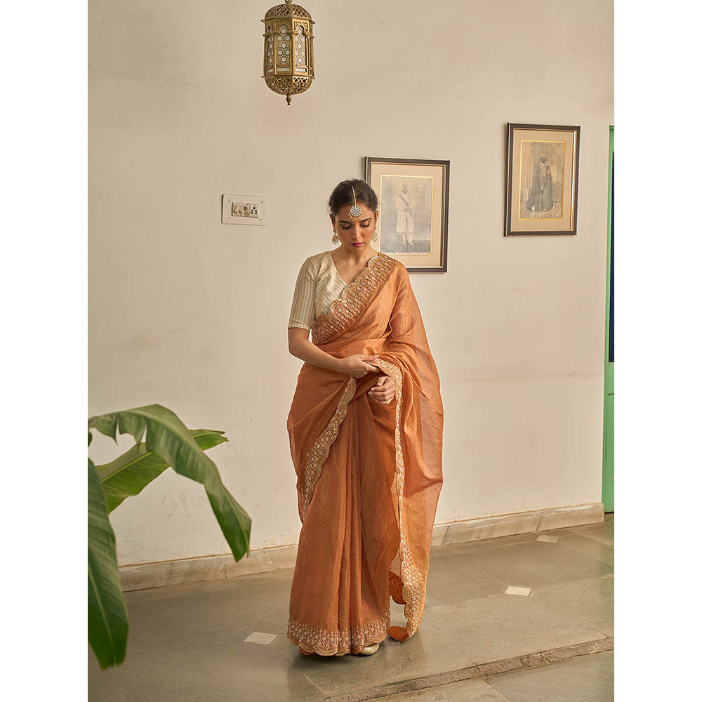 Apeksha Jain Label Brown Sunehra Tissue Saree with Stitched Blouse