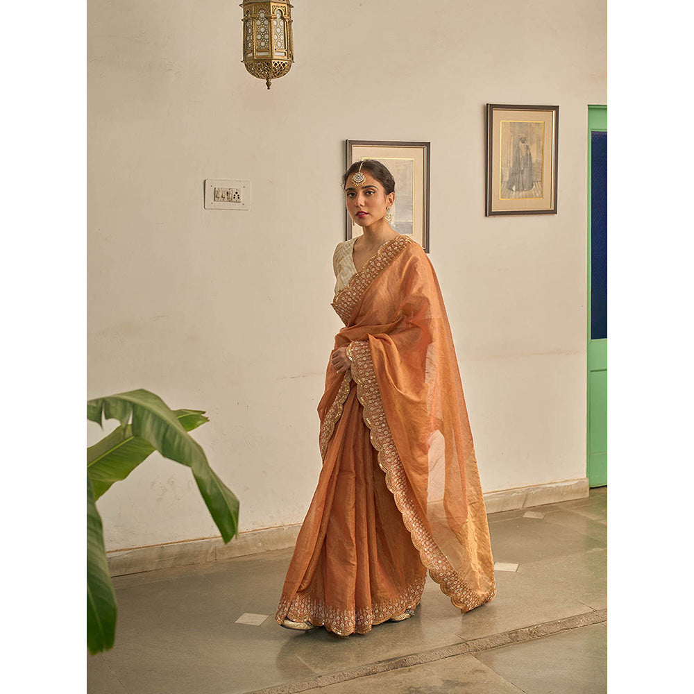 Apeksha Jain Label Brown Sunehra Tissue Saree with Stitched Blouse
