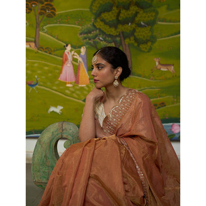 Apeksha Jain Label Brown Sunehra Tissue Saree with Stitched Blouse