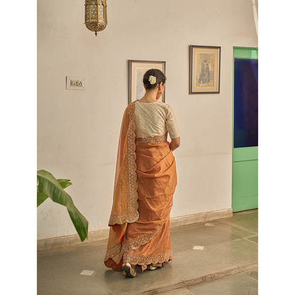 Apeksha Jain Label Brown Sunehra Tissue Saree with Stitched Blouse