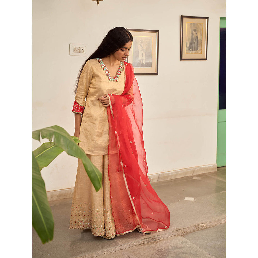 Apeksha Jain Label Beige Kurta with Sharara and Dupatta (Set of 3)