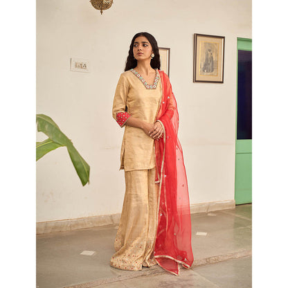 Apeksha Jain Label Beige Kurta with Sharara and Dupatta (Set of 3)