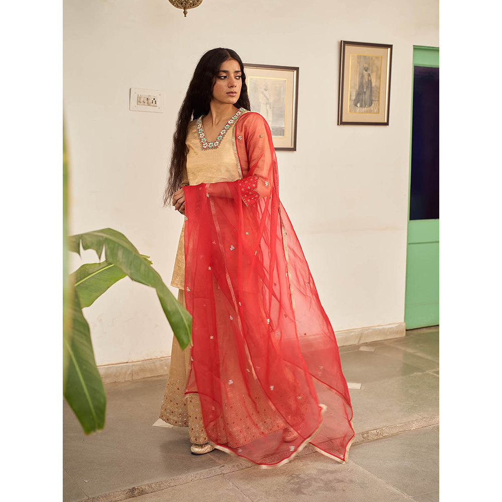 Apeksha Jain Label Beige Kurta with Sharara and Dupatta (Set of 3)
