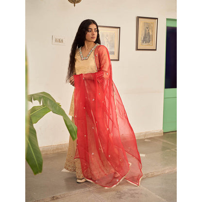 Apeksha Jain Label Beige Kurta with Sharara and Dupatta (Set of 3)