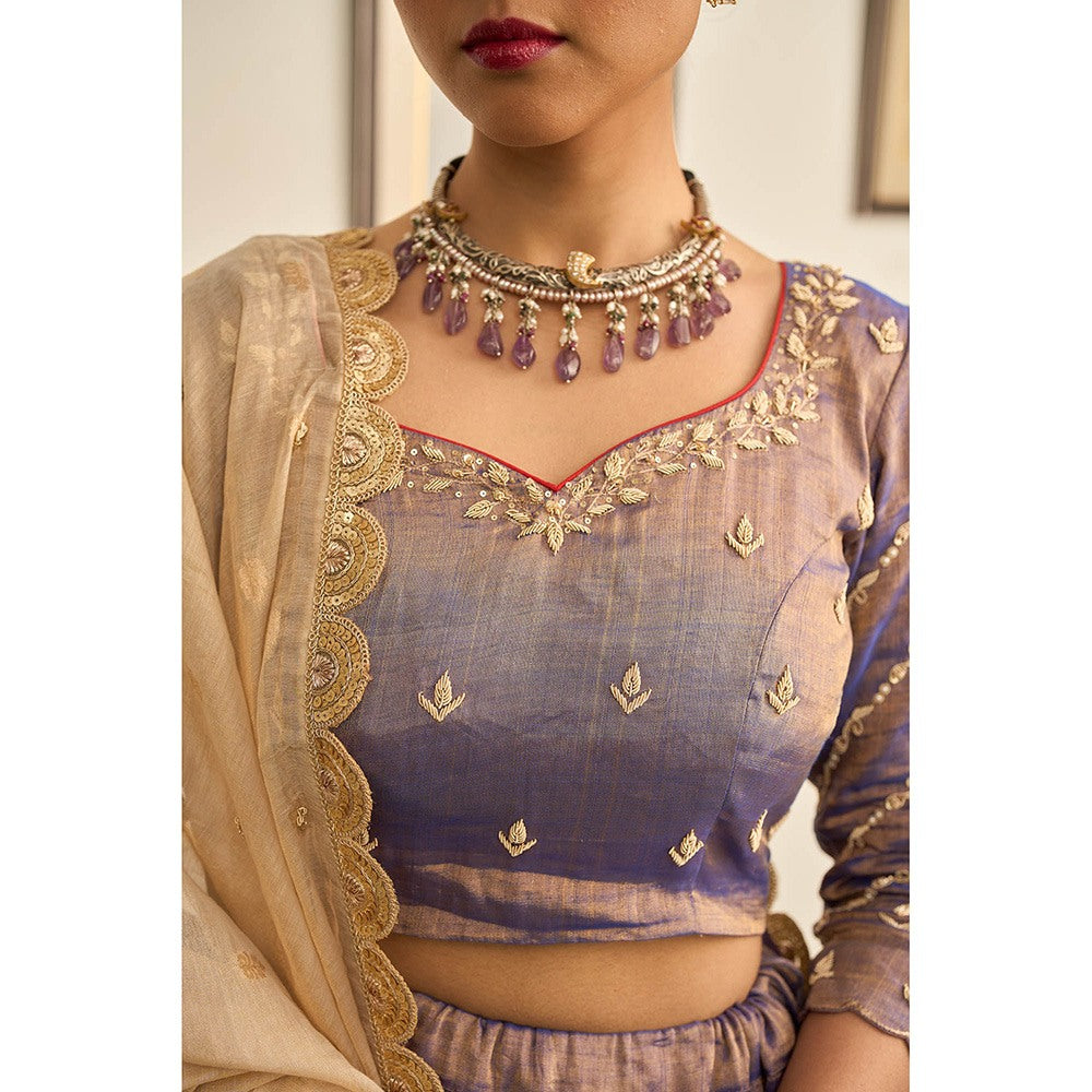 Apeksha Jain Label Purple Jamuni Lehenga with Blouse and Dupatta (Set of 3)