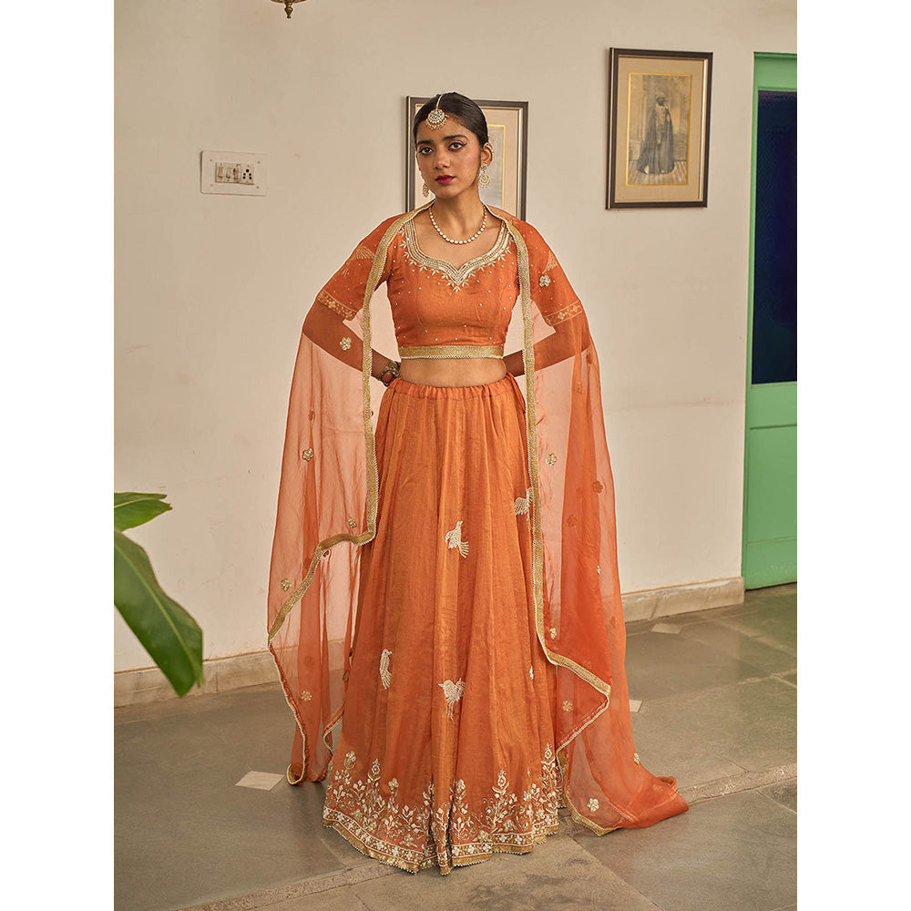 Apeksha Jain Label Orange Malhar Lehenga with Blouse and Dupatta (Set of 3)