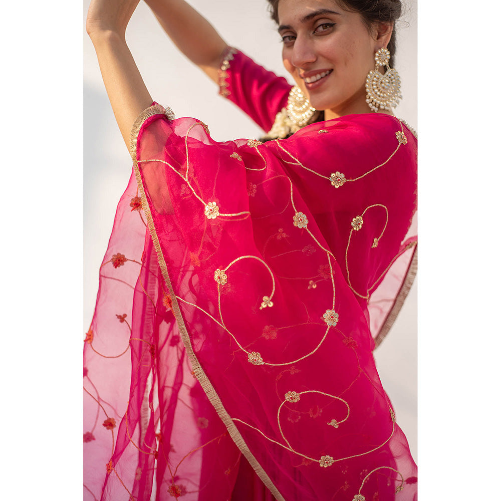 Apeksha Jain Label Rani Pink Lehenga with Blouse and Dupatta (Set of 3)