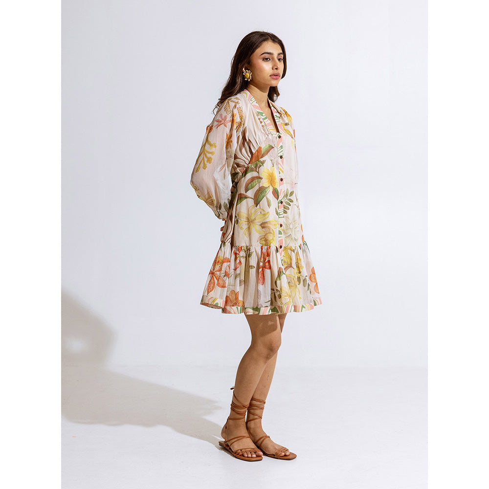 AROOP SHOP INDIA Kalina Beige Dress
