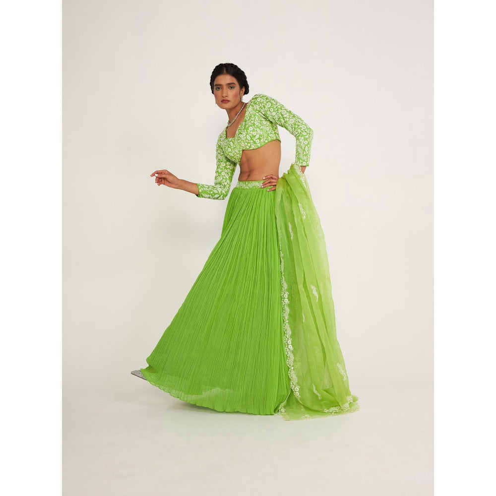 Asaga Daisy Lehenga and Dupatta with Stitched Blouse (Set of 3)
