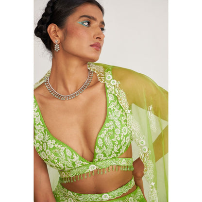 Asaga Cora Lehenga and Stitched Blouse with Dupatta (Set of 3)