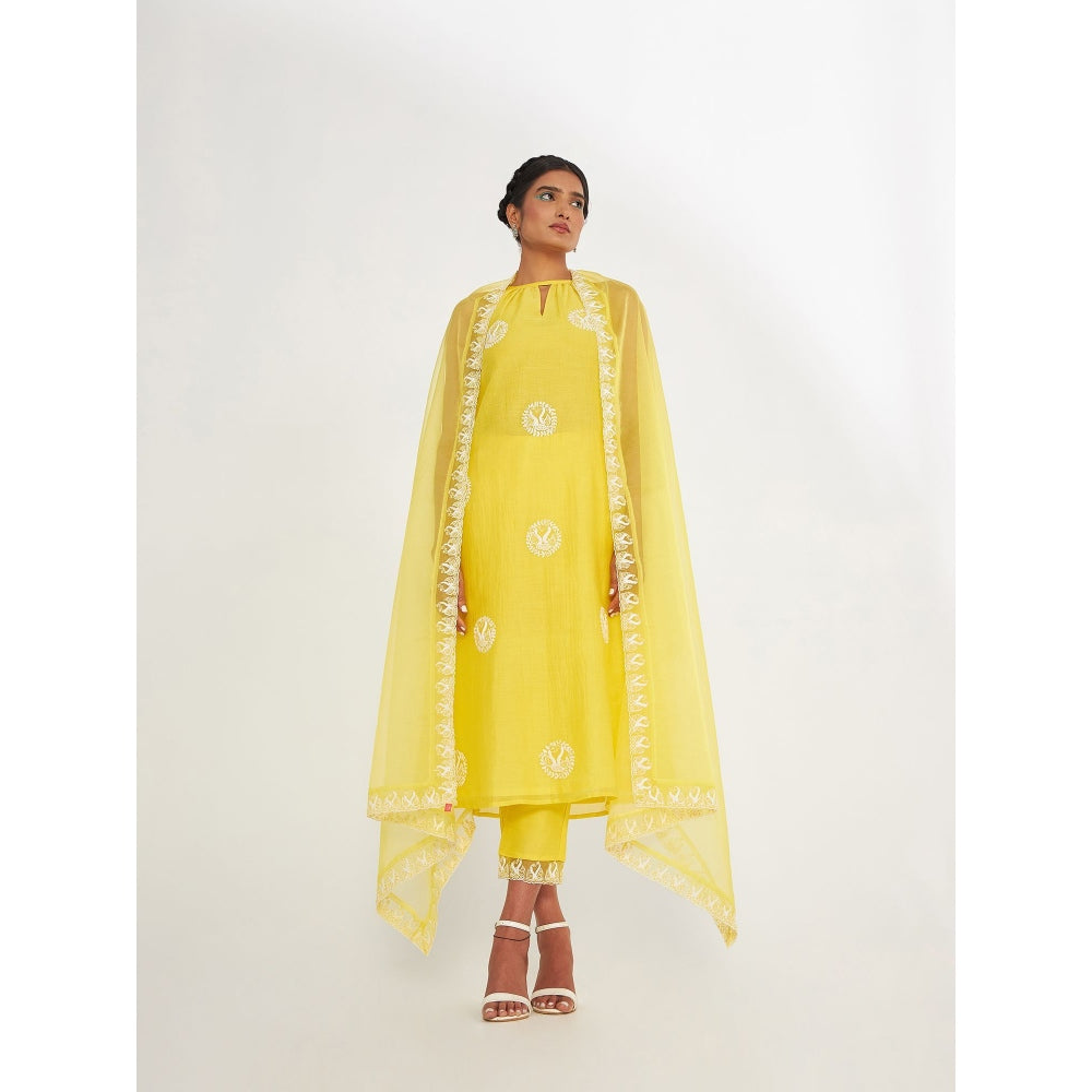 Asaga Ava Yellow Silk Embroidered Kurta and Pants with Organza Dupatta (Set of 3)