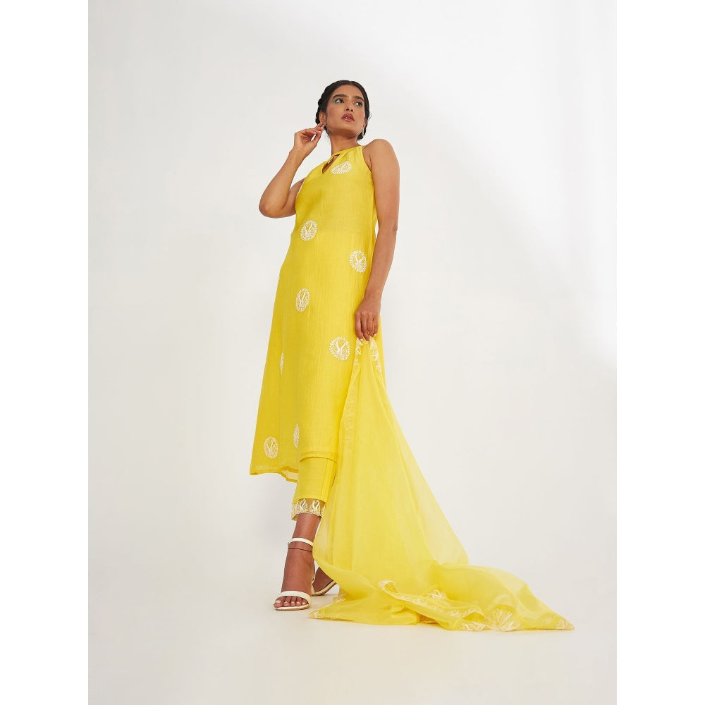 Asaga Ava Yellow Silk Embroidered Kurta and Pants with Organza Dupatta (Set of 3)