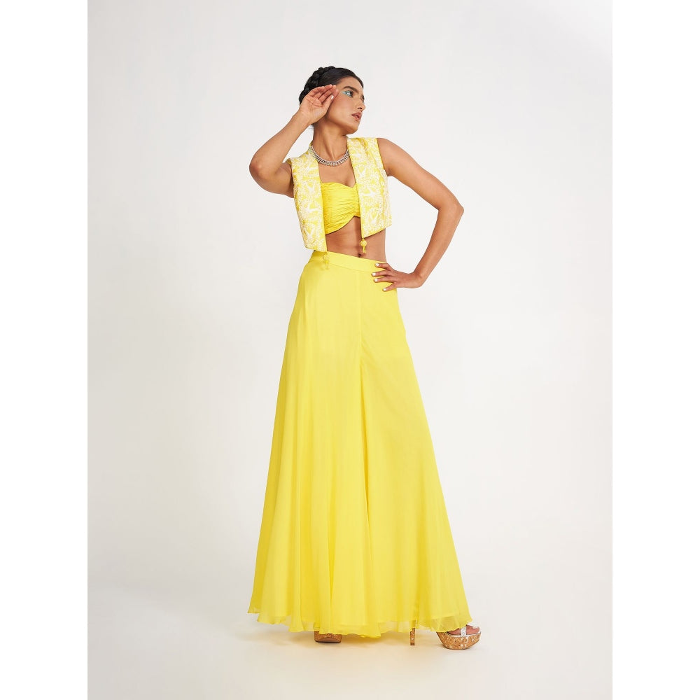 Asaga Clara Lemon Embroidered Silk Bustier with Sharara and Jacket (Set of 4)