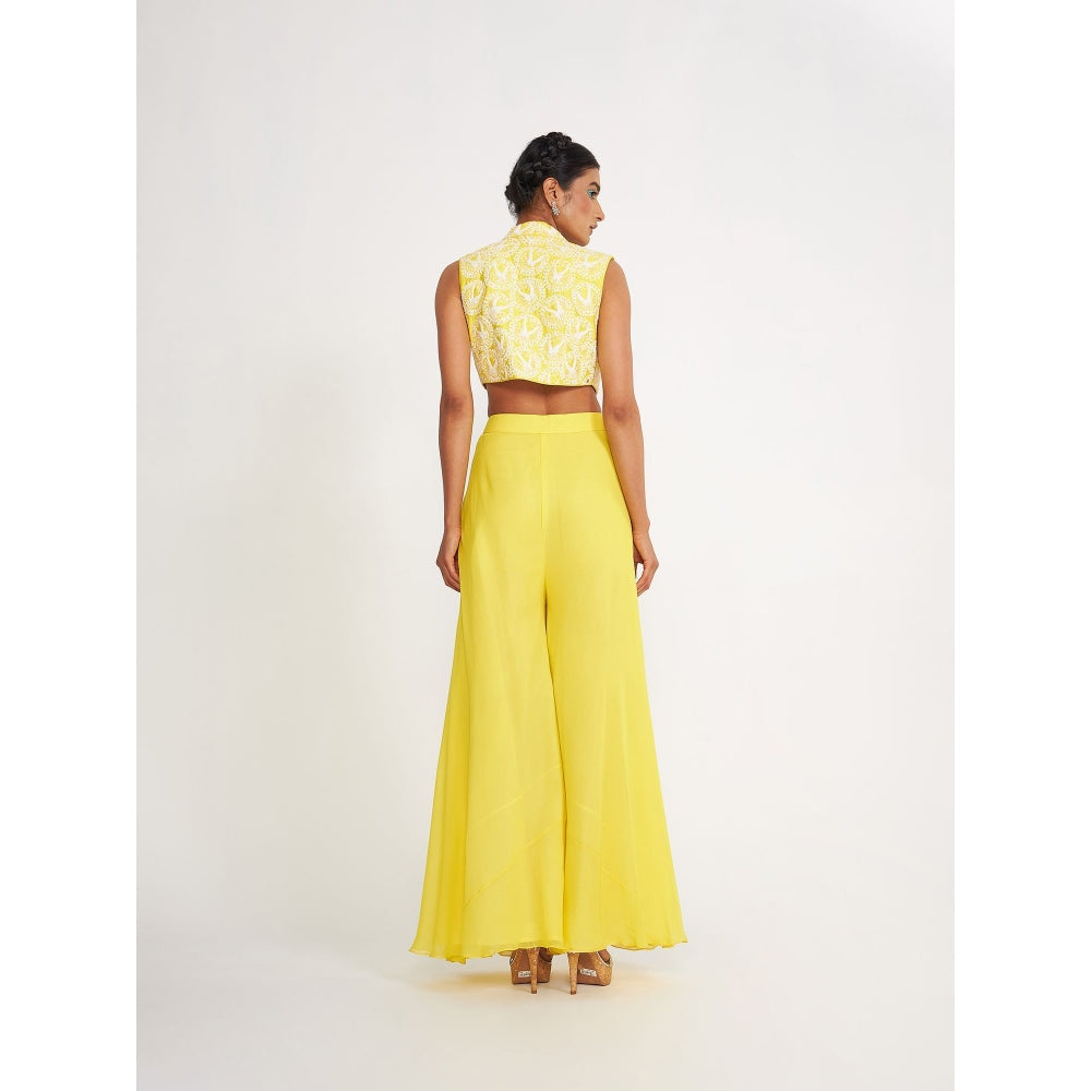 Asaga Clara Lemon Embroidered Silk Bustier with Sharara and Jacket (Set of 4)