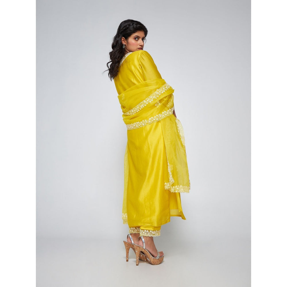 Asaga Iris Lemon Chanderi Embroidered Kurta with Pants and Organza Dupatta (Set of 3)