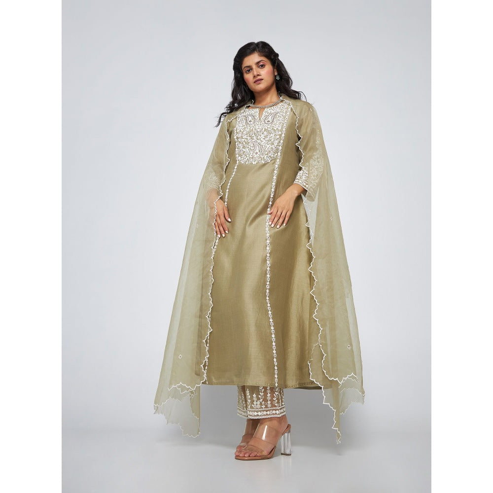 Asaga Caily Mud Chanderi Embroidered Kurta with Pants and Organza Dupatta (Set of 3)