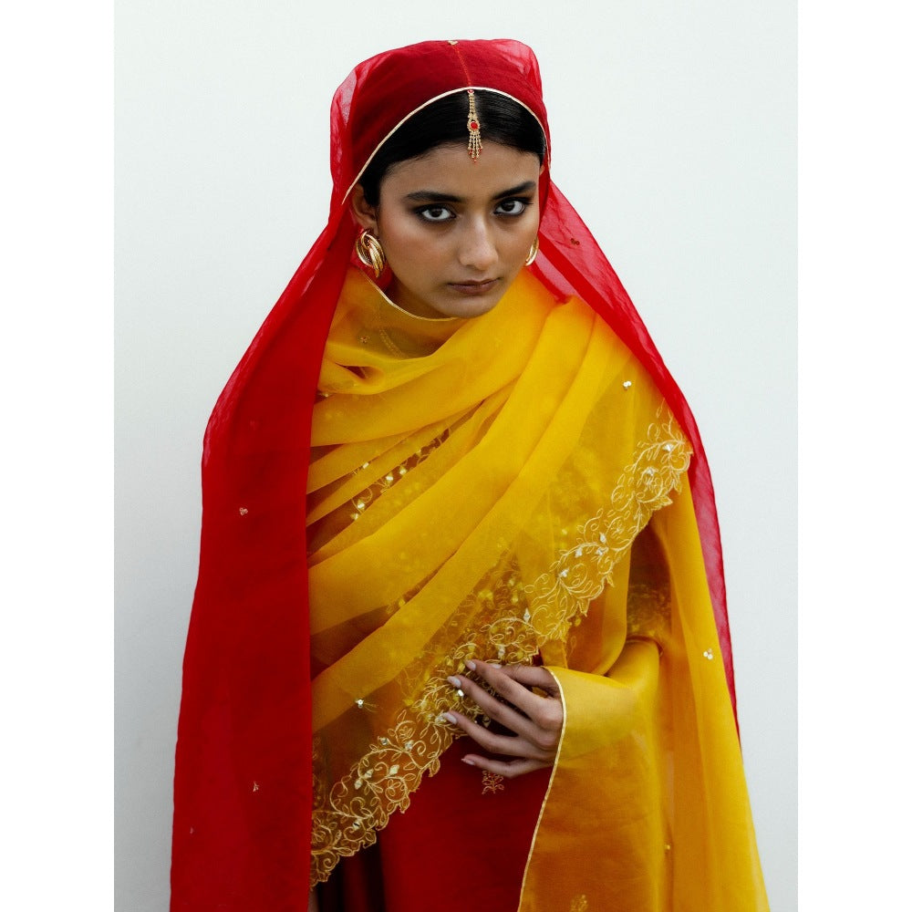 Asaga Red Embroidered Kurta with Pants and Organza Dupatta (Set of 3)