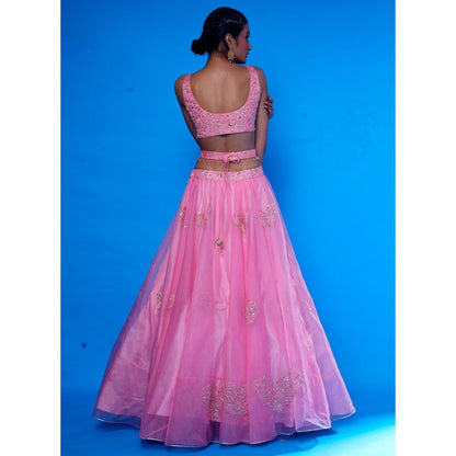 Asaga Baby Pink Embroidered Stitched Blouse- Lehenga and Dupatta with Belt (Set of 4)