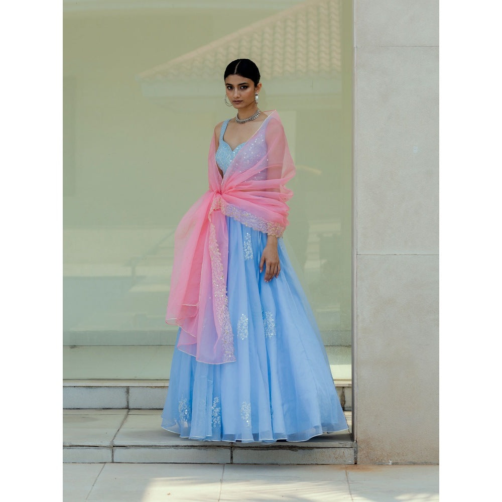 Asaga Baby Blue Embroidered Stitched Blouse with Lehenga and Dupatta (Set of 3)