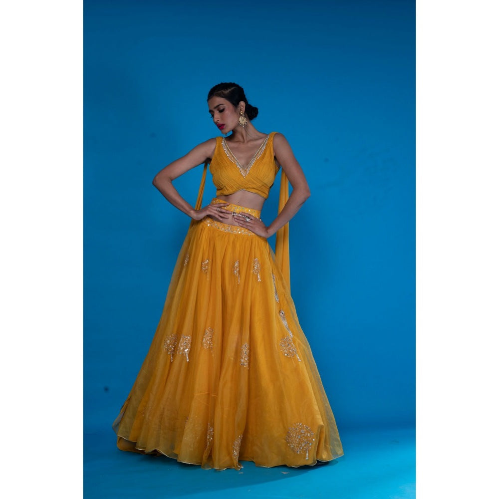 Asaga Mustard Embroidered Lehenga- Stitched Blouse with Dupatta and Belt (Set of 4)