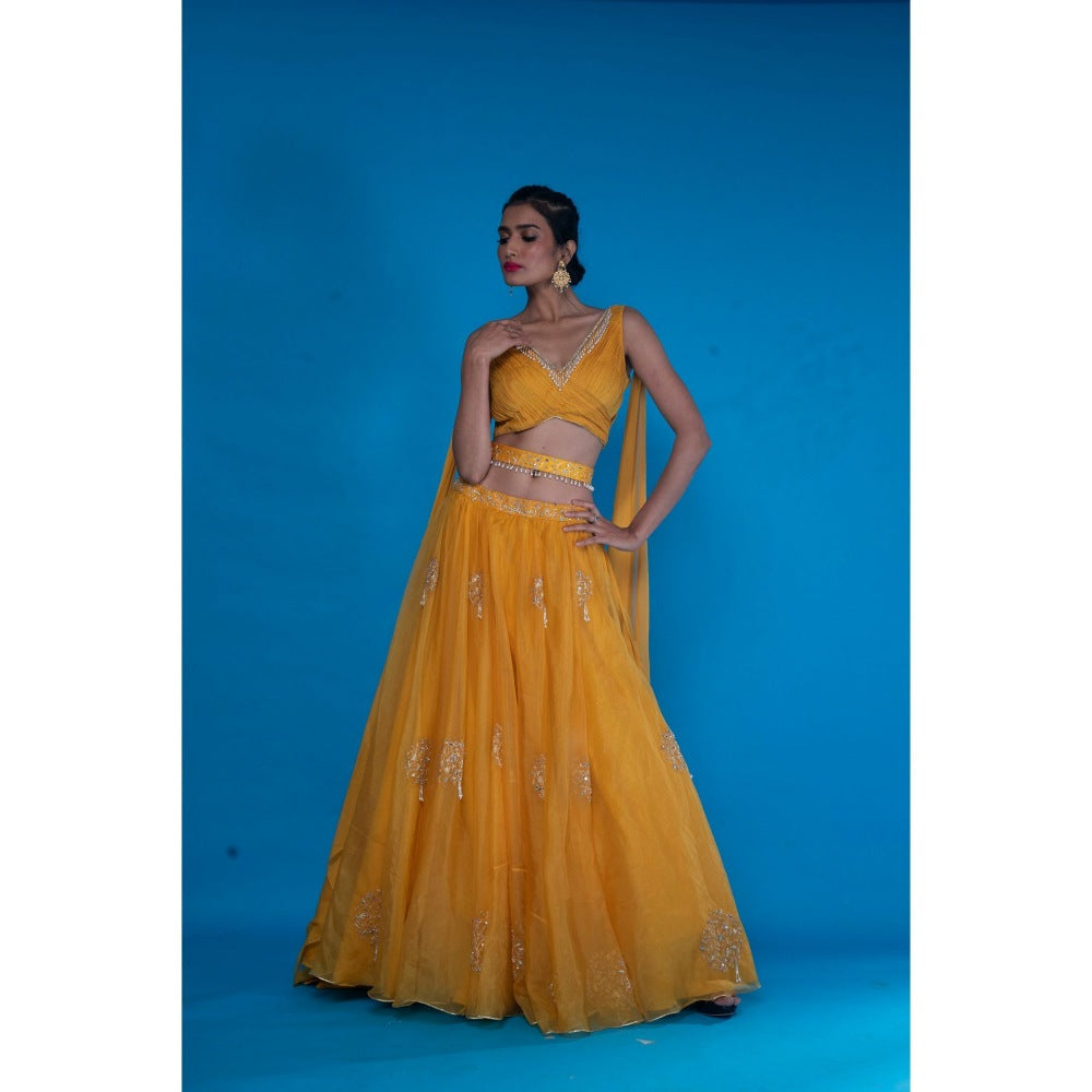 Asaga Mustard Embroidered Lehenga- Stitched Blouse with Dupatta and Belt (Set of 4)