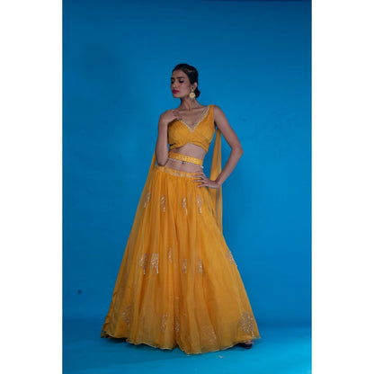 Asaga Mustard Embroidered Lehenga- Stitched Blouse with Dupatta and Belt (Set of 4)