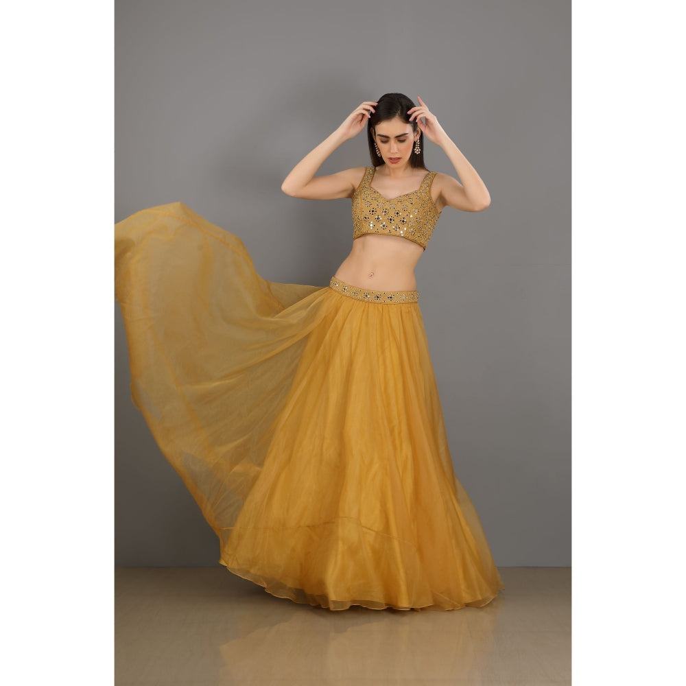 Asaga Gold Embroidered Stitched Blouse- Lehenga Paired with Organza Dupatta (Set of 3)
