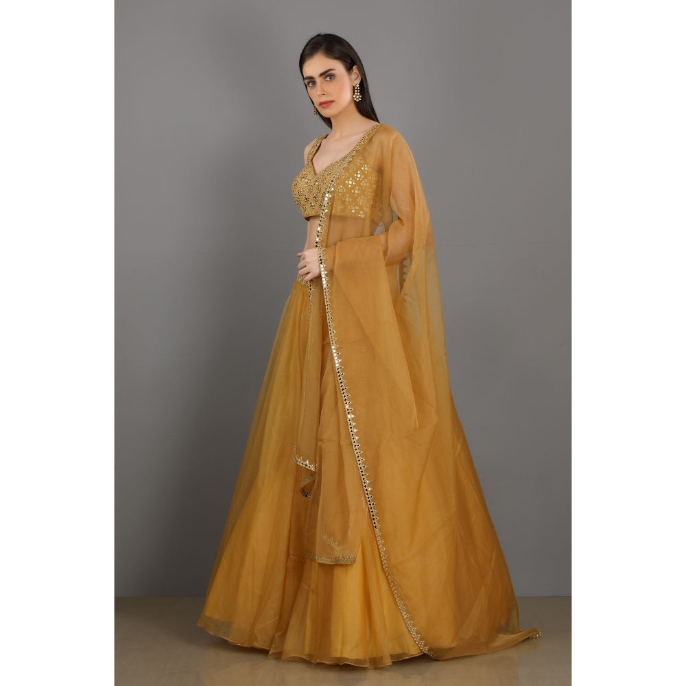 Asaga Gold Embroidered Stitched Blouse- Lehenga Paired with Organza Dupatta (Set of 3)