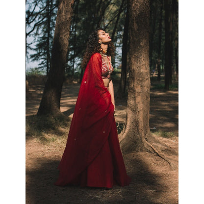 Asaga Red Embroidered Stitched Blouse- Lehenga Paired with Organza Dupatta (Set of 3)