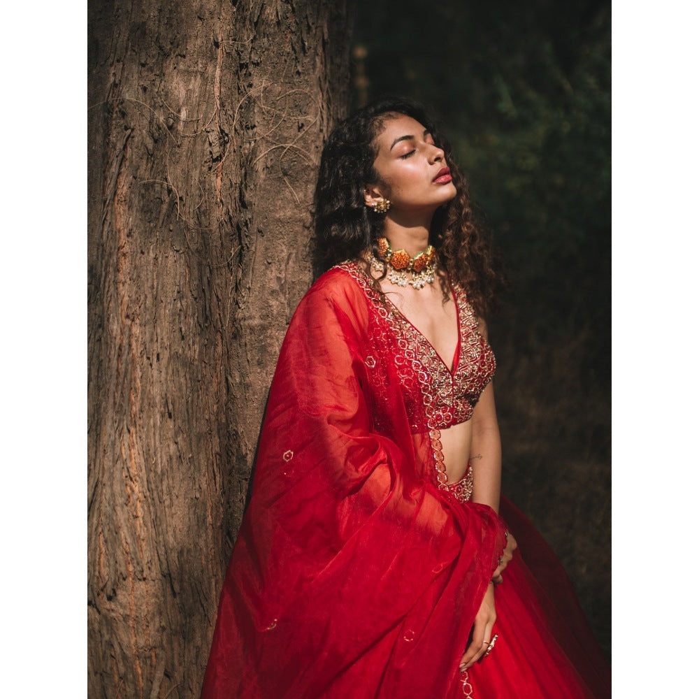 Asaga Red Embroidered Stitched Blouse- Lehenga Paired with Organza Dupatta (Set of 3)