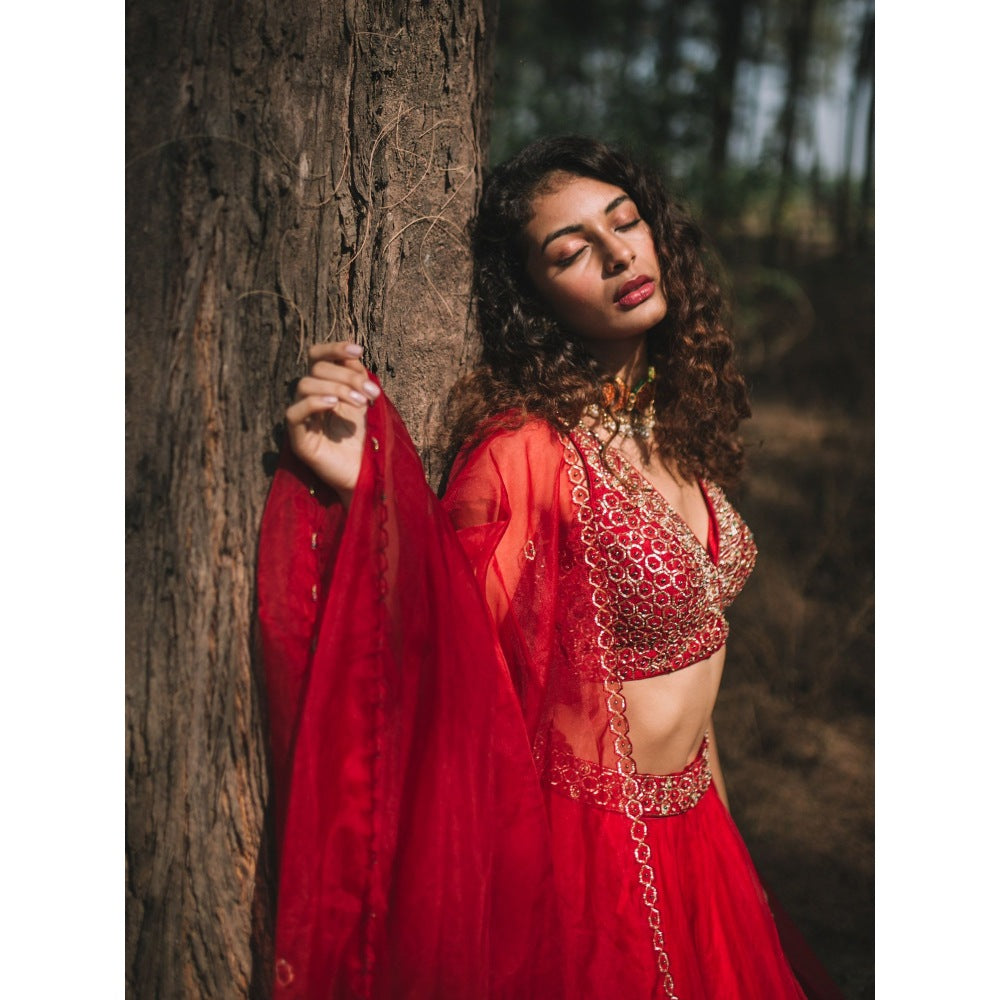 Asaga Red Embroidered Stitched Blouse- Lehenga Paired with Organza Dupatta (Set of 3)