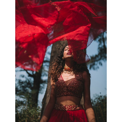 Asaga Red Embroidered Stitched Blouse- Lehenga Paired with Organza Dupatta (Set of 3)